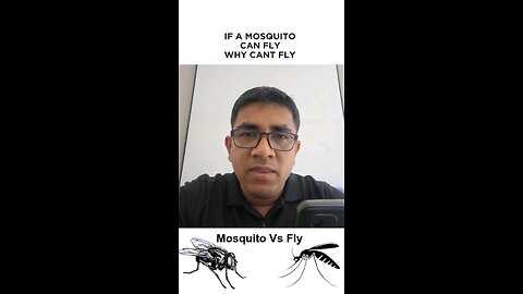 If Mosquito Can Fly, Why Can't Fly Mosquito?