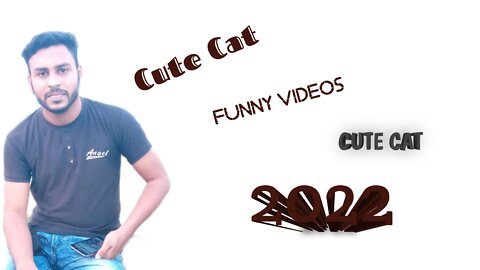 So Cute Cat Funny Videos