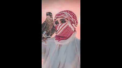 New Arabic song