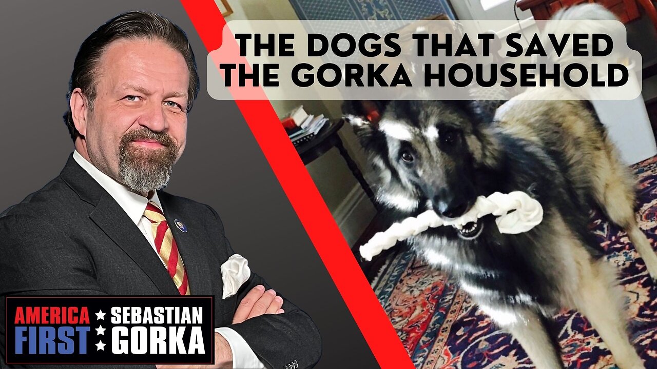 The Dogs that Saved the Gorka Household. Sebastian Gorka on AMERICA First