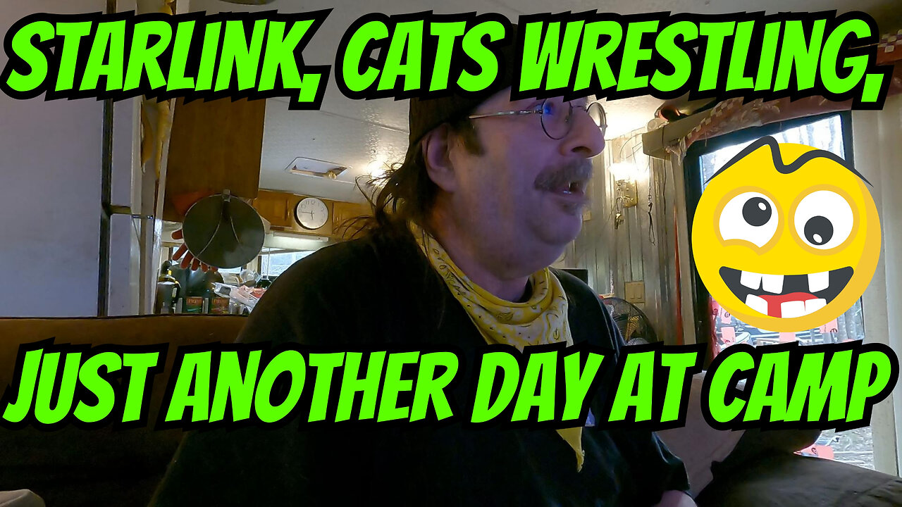 Starlink, Cats Wrestling And Just Another Day At Camp