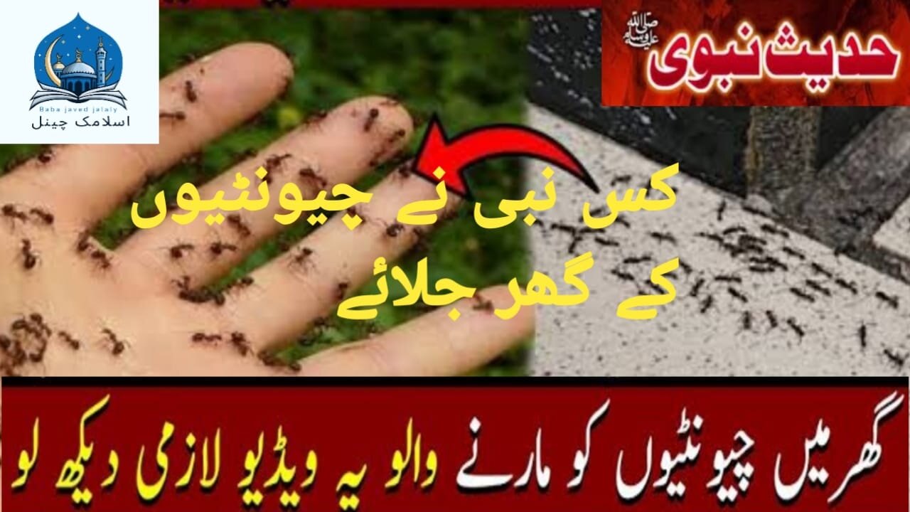 Chuntiyon ko Marne per Allah Tala ki Vahi Hadees Mubarak