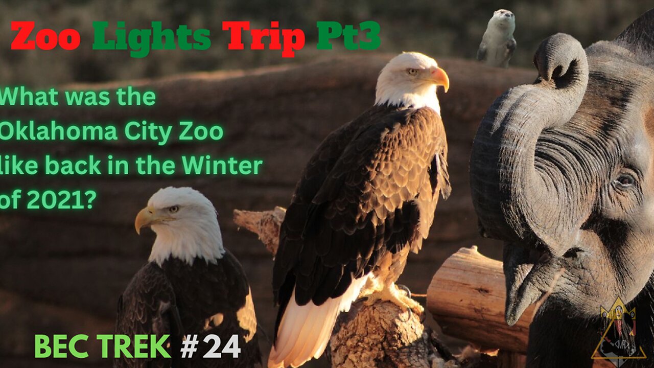 Elephants, Cat, Reptiles and MORE! | BEC TREK Episode 24