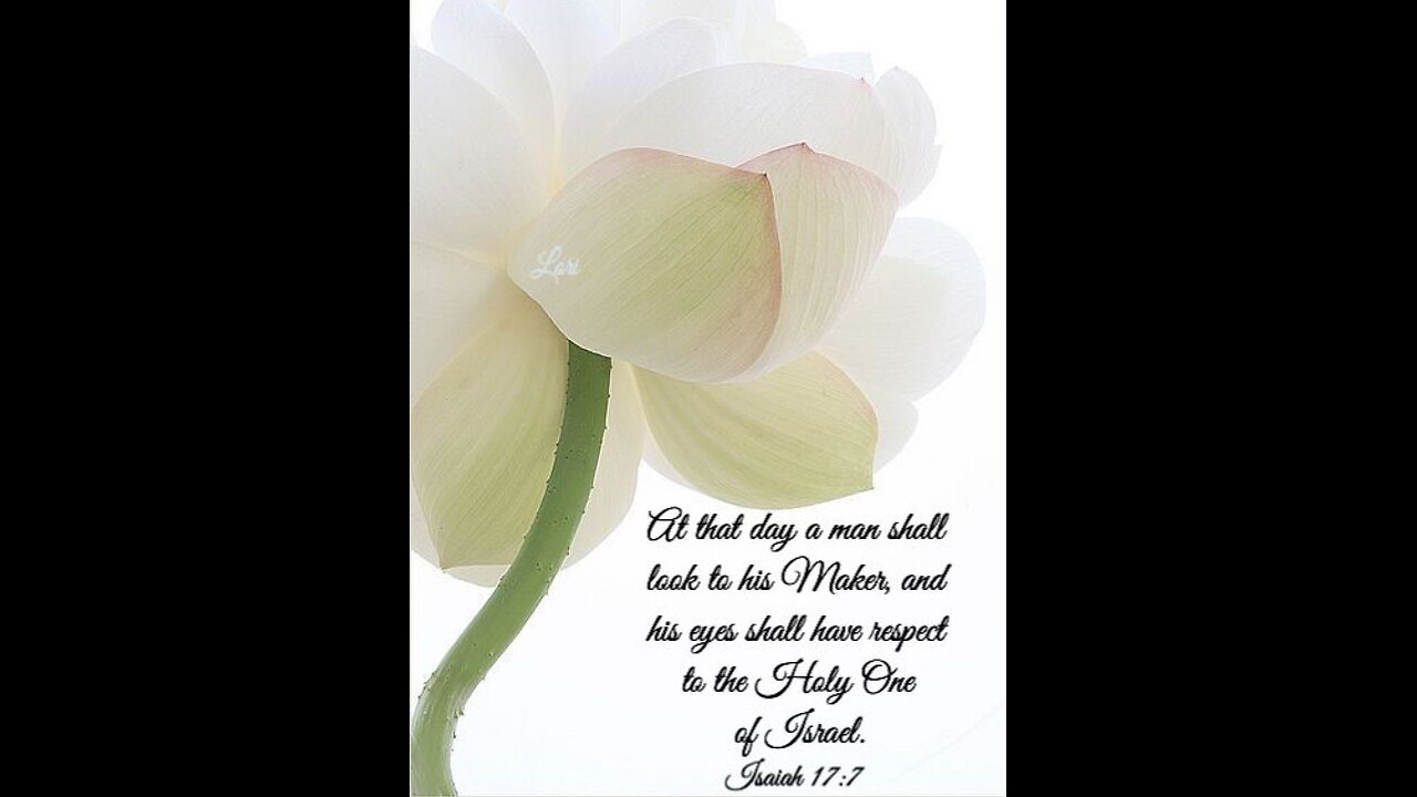 Isaiah 17