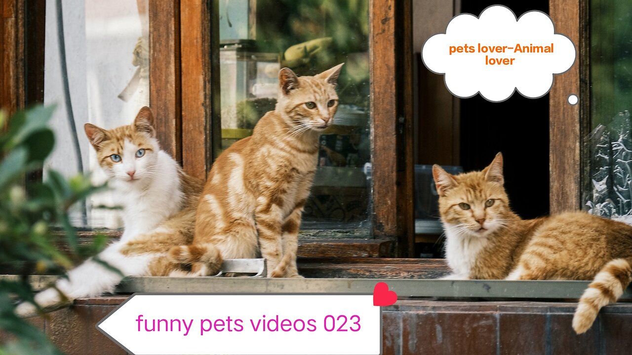 Funniest Animals 2023 😂 Funny Cats and Dogs 🐱🐶 | Funny Animal Videos🐕 pets lover-Animal lover # 10