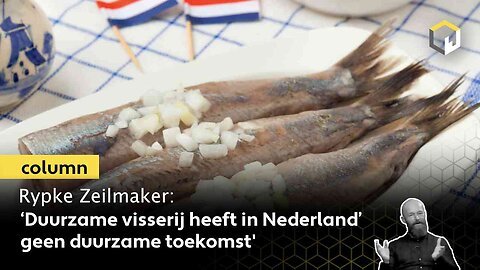 ‘Duurzame visserij heeft in Nederland geen duurzame toekomst’, zegt columnist Rypke Zeilmaker