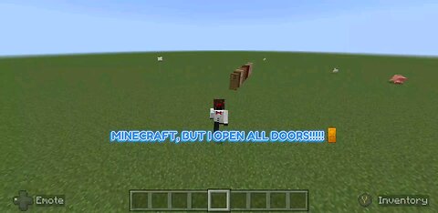 Minecraft, but I open all doors🚪