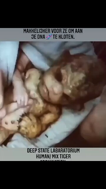 Hybrid baby. Is it real?