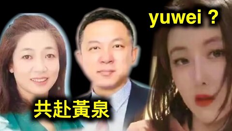 兩位博士、一瓶「黃鶴樓」共赴黃泉路……瑪莎拉蒂醉酒女司機「yuwei」細節曝光，您信嗎？