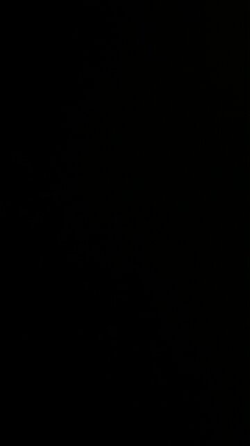 Prolife across America 🇺🇸