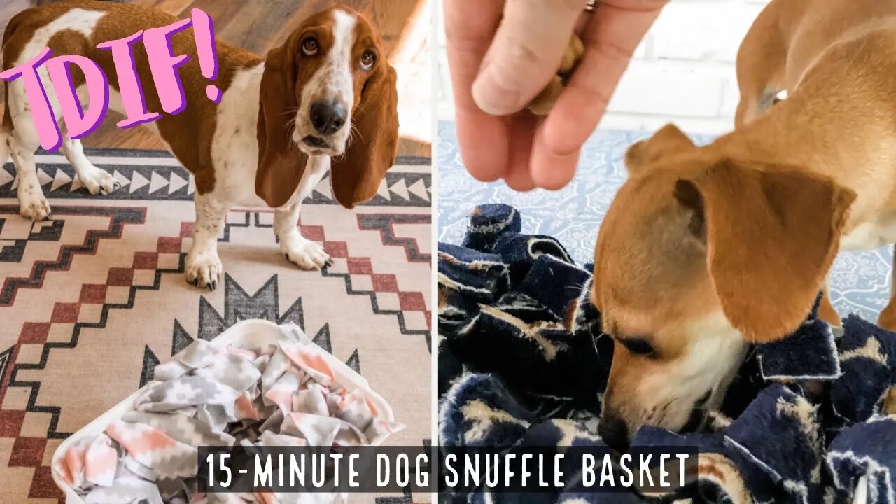 How To Make a Quick and Easy Dog Snuffle Basket