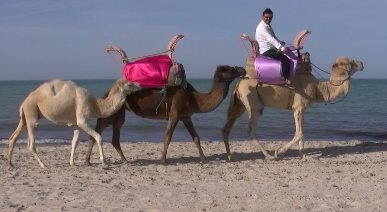 Enjoy a camel ride on the beach
