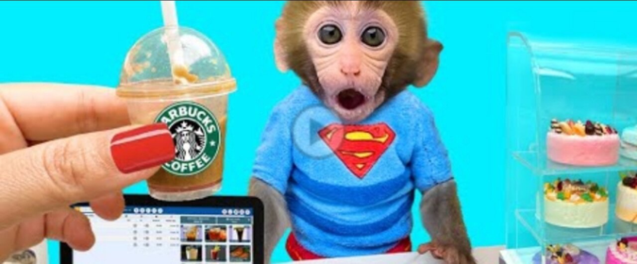 Monkey Baby Bon Bon go buy Starbucks coffee and drive the farm with ducklings