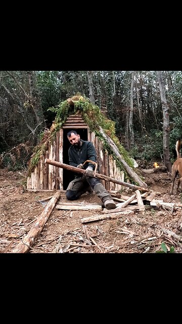 Building bushcraft shelter and outdoor cooking