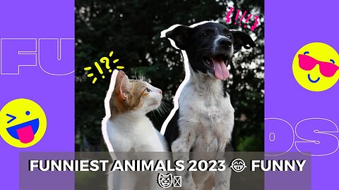 Funniest Animals 2023 😂 Funny Dogs and Cats Videos