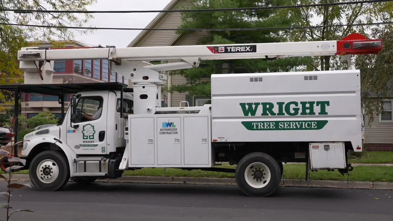 Thousands of trees in Lansing removed—but not replaced