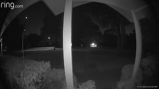 Orb captured on Ring Doorbell (Extended Version)