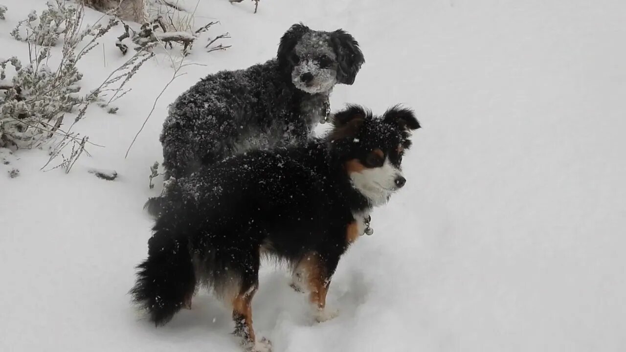 Kirye's Global Warming Dream