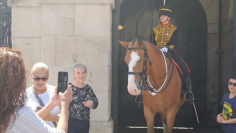 Horse gets very touchy with female tourist #horseguardsparade