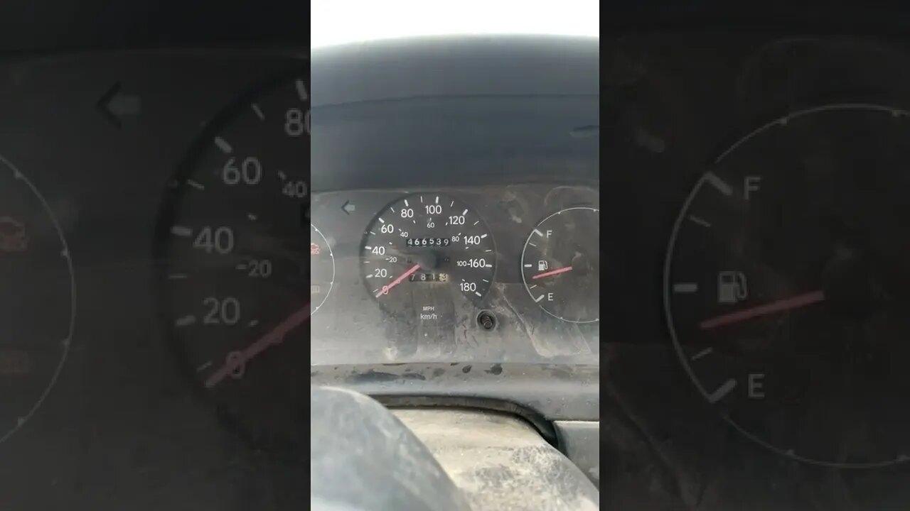 running over birds