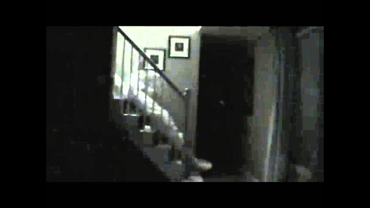 Easter Bunny Caught on Tape: Epic Fail | Lauren Francesca