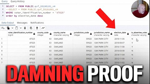 Data Analysts Expose MI Voter Databases Altered IN REAL TIME