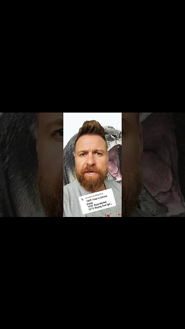 The NEW Timestamp KING 🦭