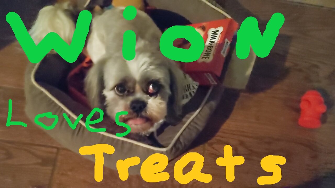 Wion Loves Treats