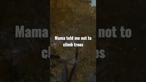 Tree Climbing gone wrong