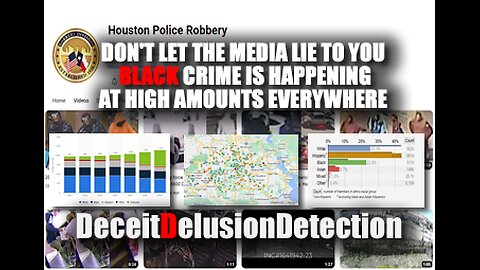 DON'T LET THE MEDIA LIE TO YOU, BLACK CRIME IS HAPPENING EVERYWHERE-DECEITDELUSIONDETECTION
