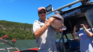 Fishing for GIANT catfish