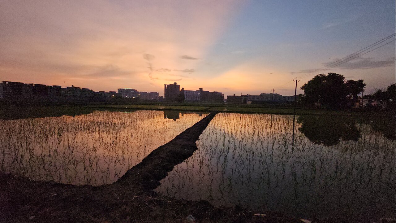 Evening walk after rainfall