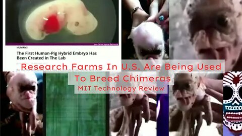 Research Farms In U.S. Are Being Used To Breed Chimeras - MIT Technology Review