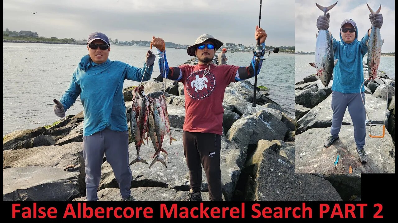 FALSE ALBACORE! Mackerel Search part 2. *** SECRET JETTY SPOT ***