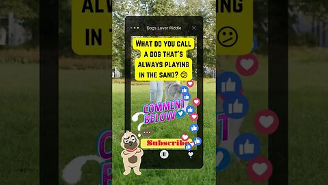 Dogs Riddle | Dogs cute animal funny video #amazing #shorts | EP 60 #shorts