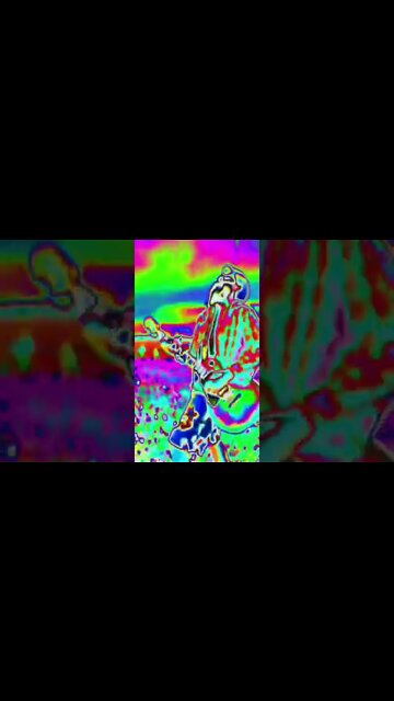 #ohhighbud #strangedanimal