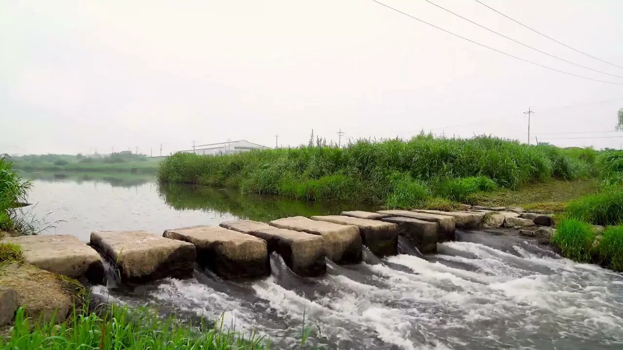 Gentle rain by the river stepping stones, perfect rain sounds for relaxation and a deep sleep