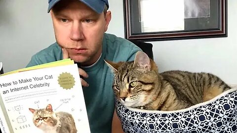 Funny Cat and their Human 2024 will keep you LAUGHING nonstop 🐱 Little Love