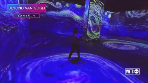 Beyond Van Gogh: The Immersive Experience in Sarasota, FL