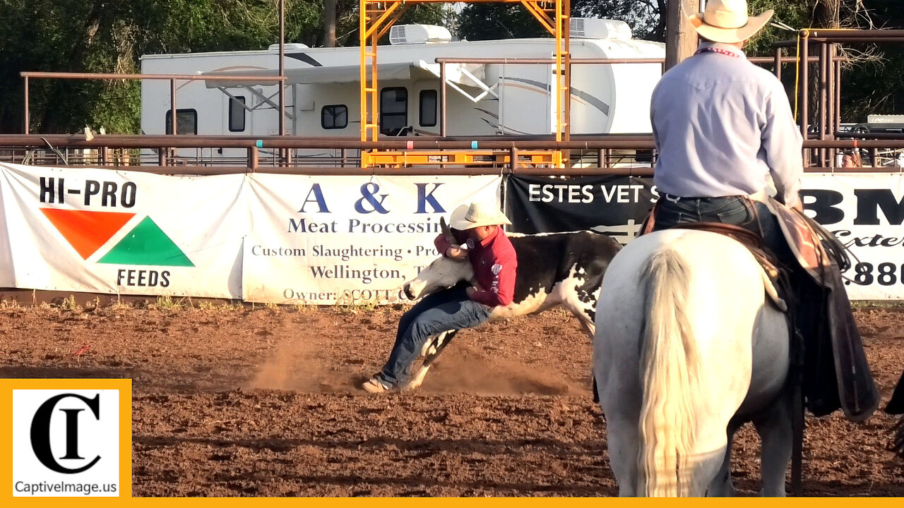 Steer Wrestling - 2023 Wellington Pro Rodeo | Thursday