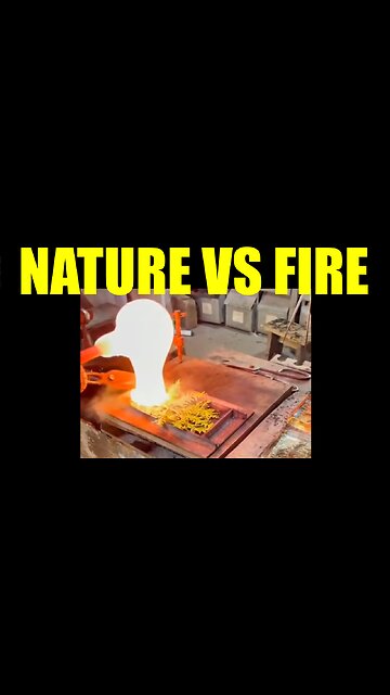 Nature vs. Fire