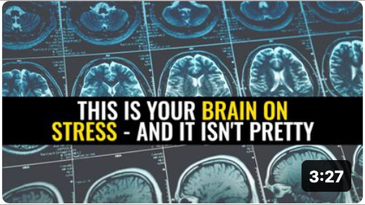 This is your brain on stress - and it isn't pretty