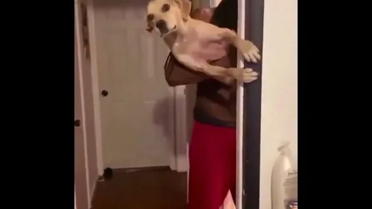 Suffering in silence