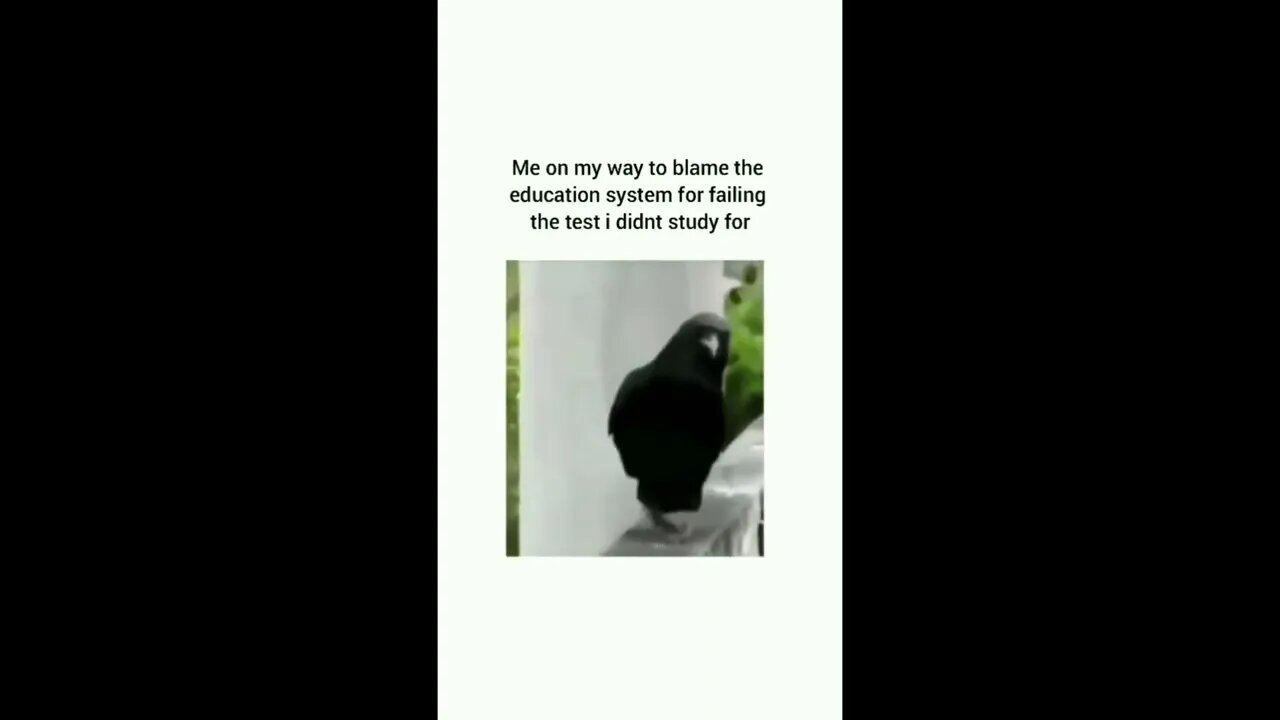 ####
