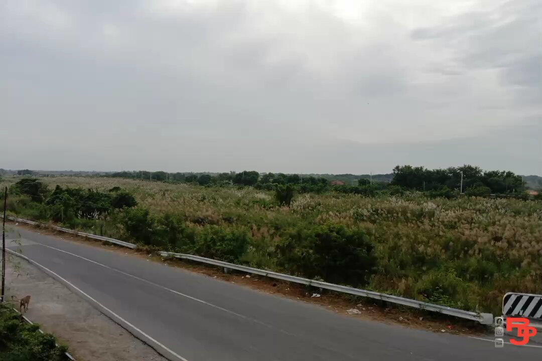 Tambike Sa Ecopark