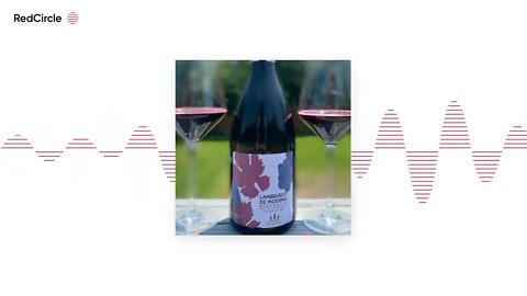 The Nashville Wine Duo Podcast (21) - Lambrusco Wine, our dog Ryobi and our Northern Georgia Wine vi