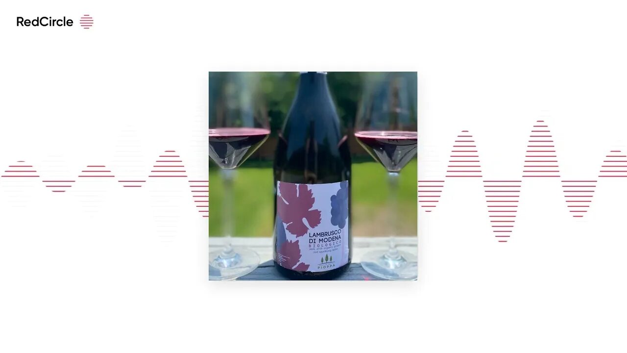 The Nashville Wine Duo Podcast (21) - Lambrusco Wine, our dog Ryobi and our Northern Georgia Wine vi