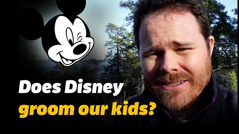 "Don't say gay" bill: Are Disney and academia grooming our kids?