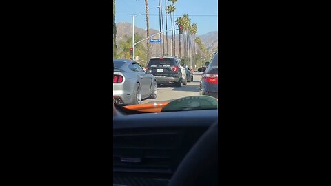 Police Tell Guy in Guy "SHUT UP IDIOT" 😂🚗