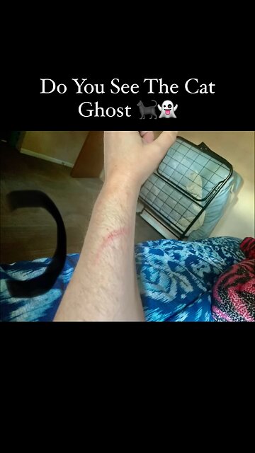 Ghost 👻 Cat 🐈‍⬛ #ghost #cat #viral #creepy
